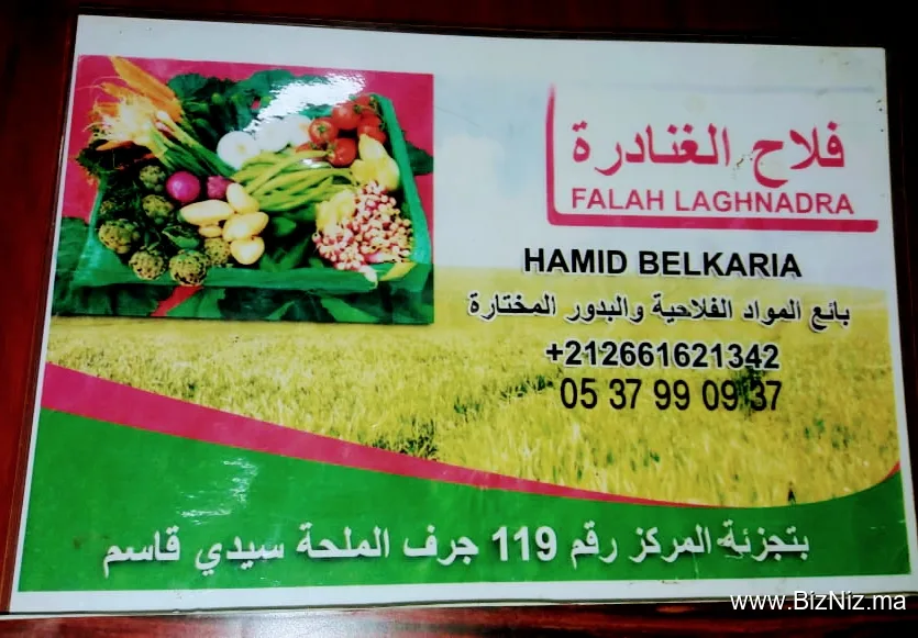فلاح الغنادرة