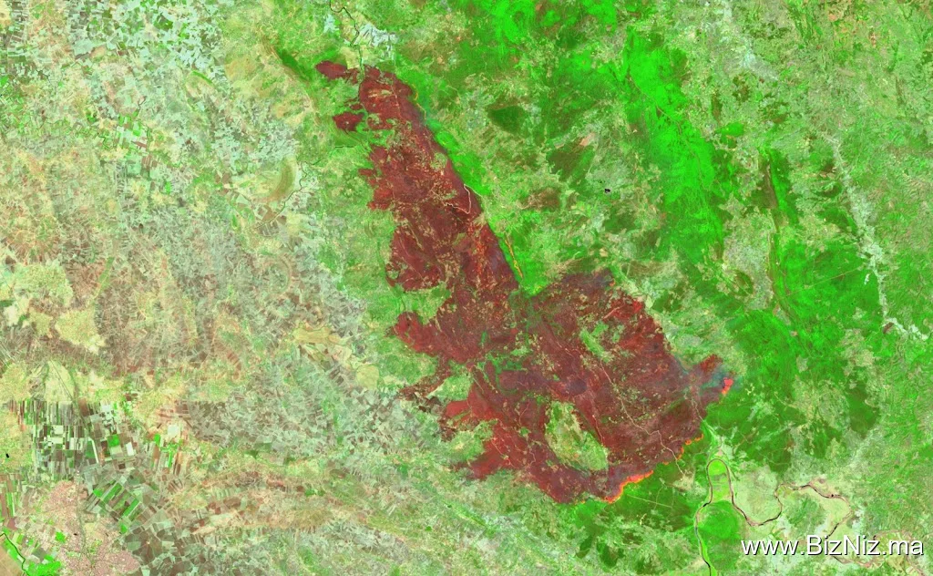 GEOAP