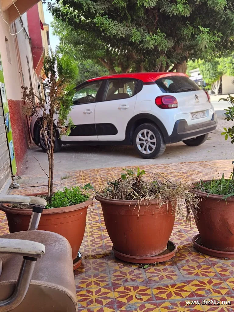 Zraiouil Cars