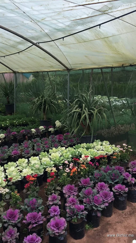 Pépinière Kénitra - Naimi Nature