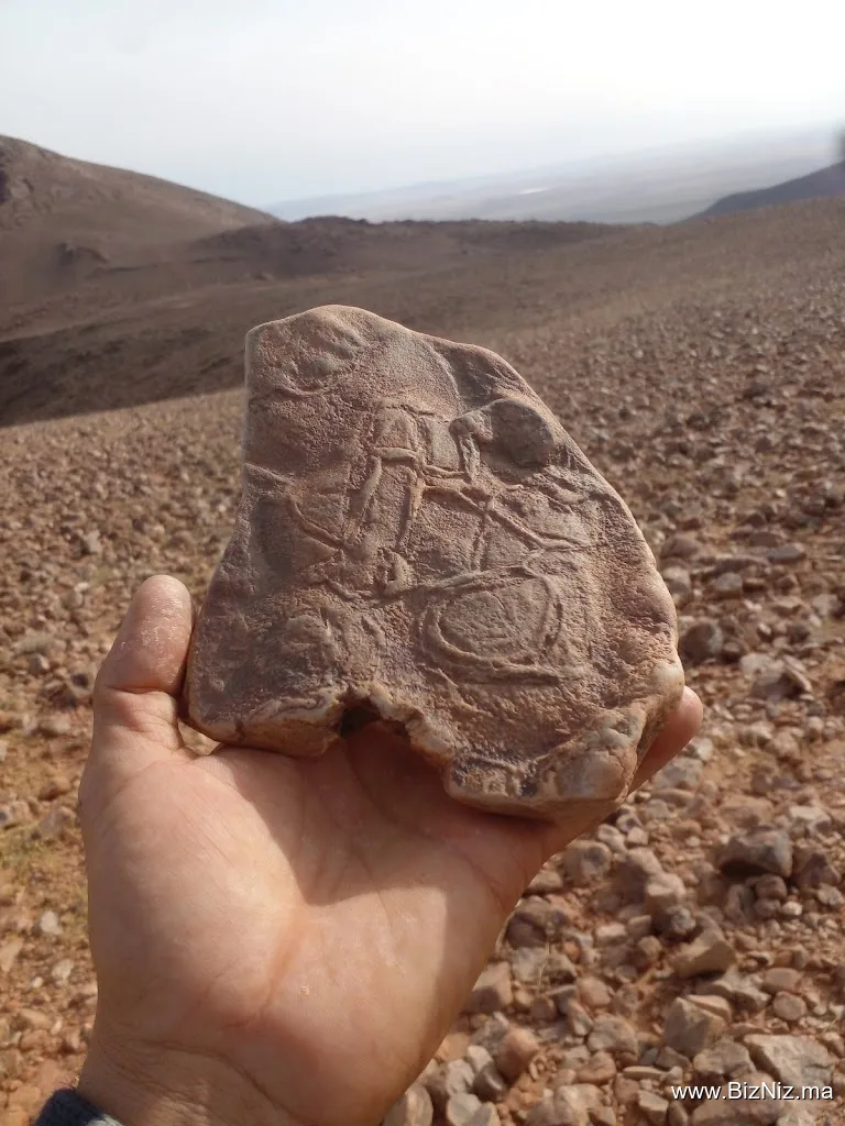 مقالع الرمال