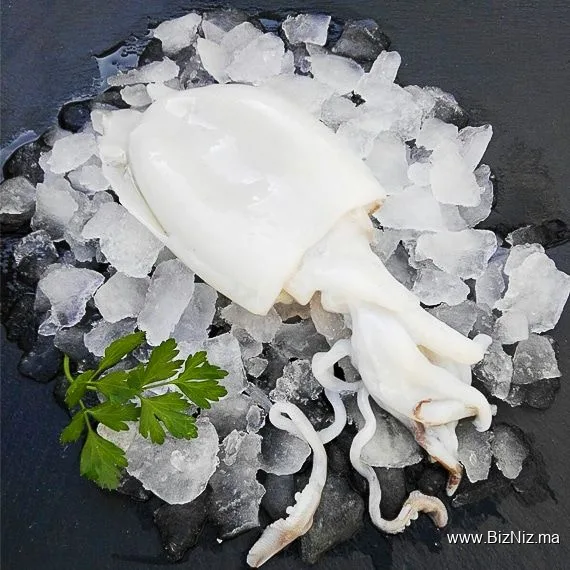 PACIFIC FISH