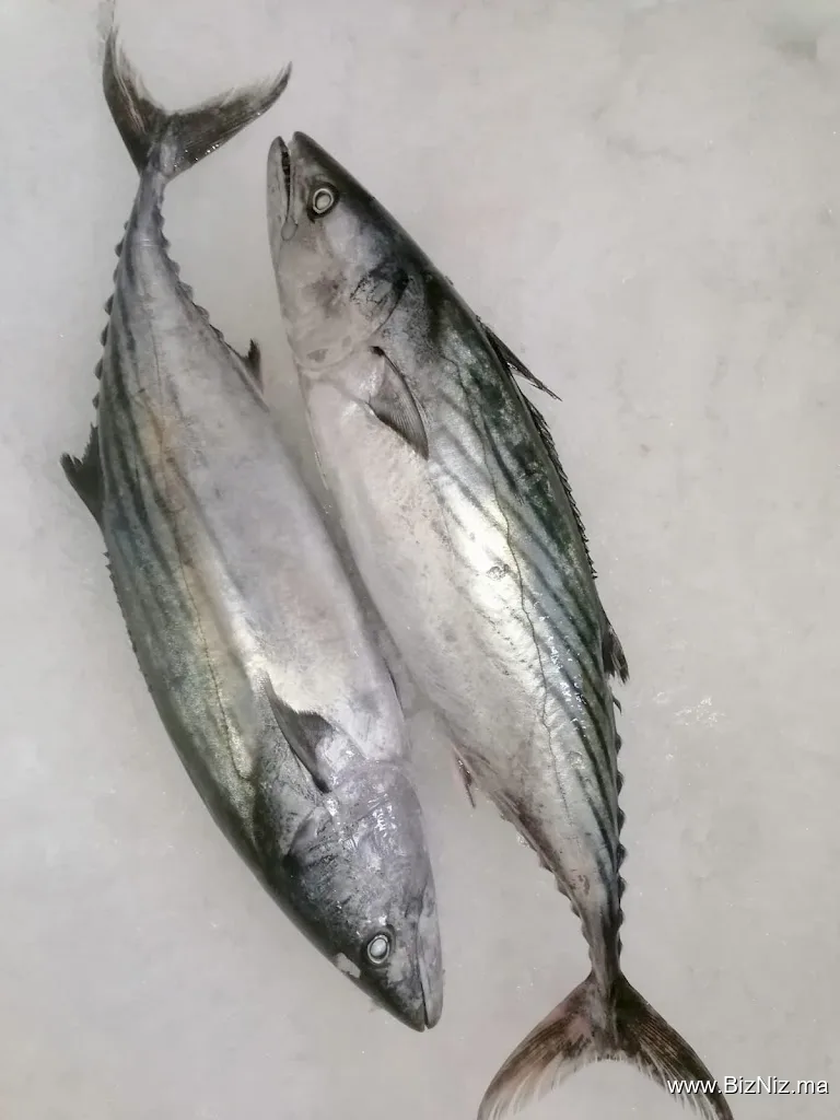 olig