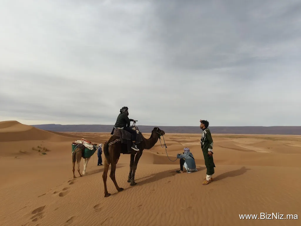 Desert Foum Zguid