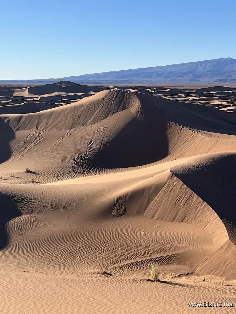Desert Foum Zguid