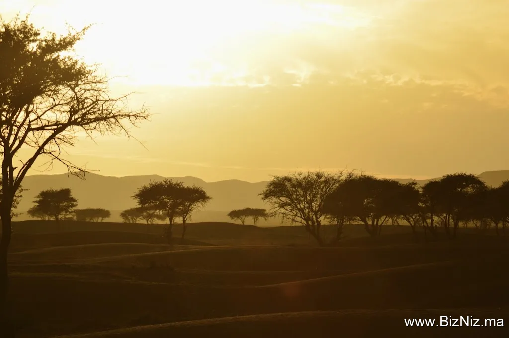 Foum Zguid Desert Tour