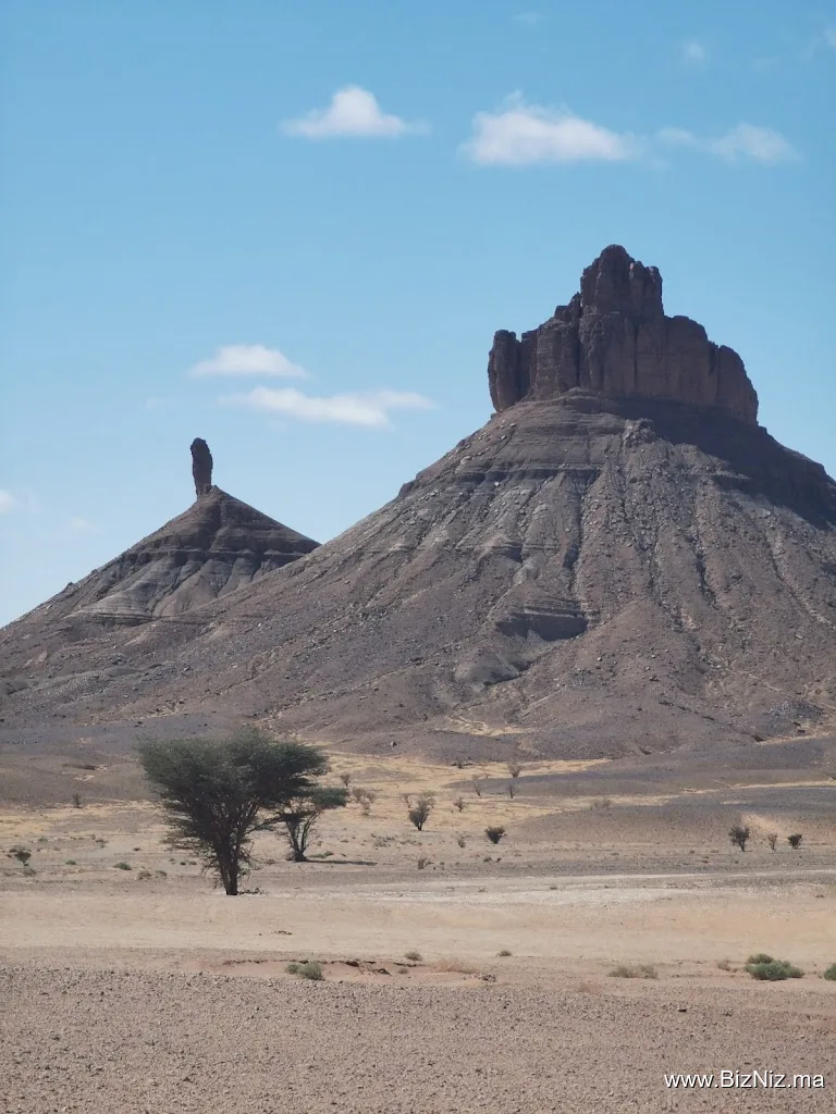 rêves du desert à Foum Zguid