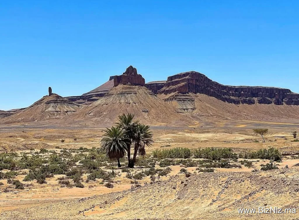 Foum zguid excursions bivouac & trek nomads