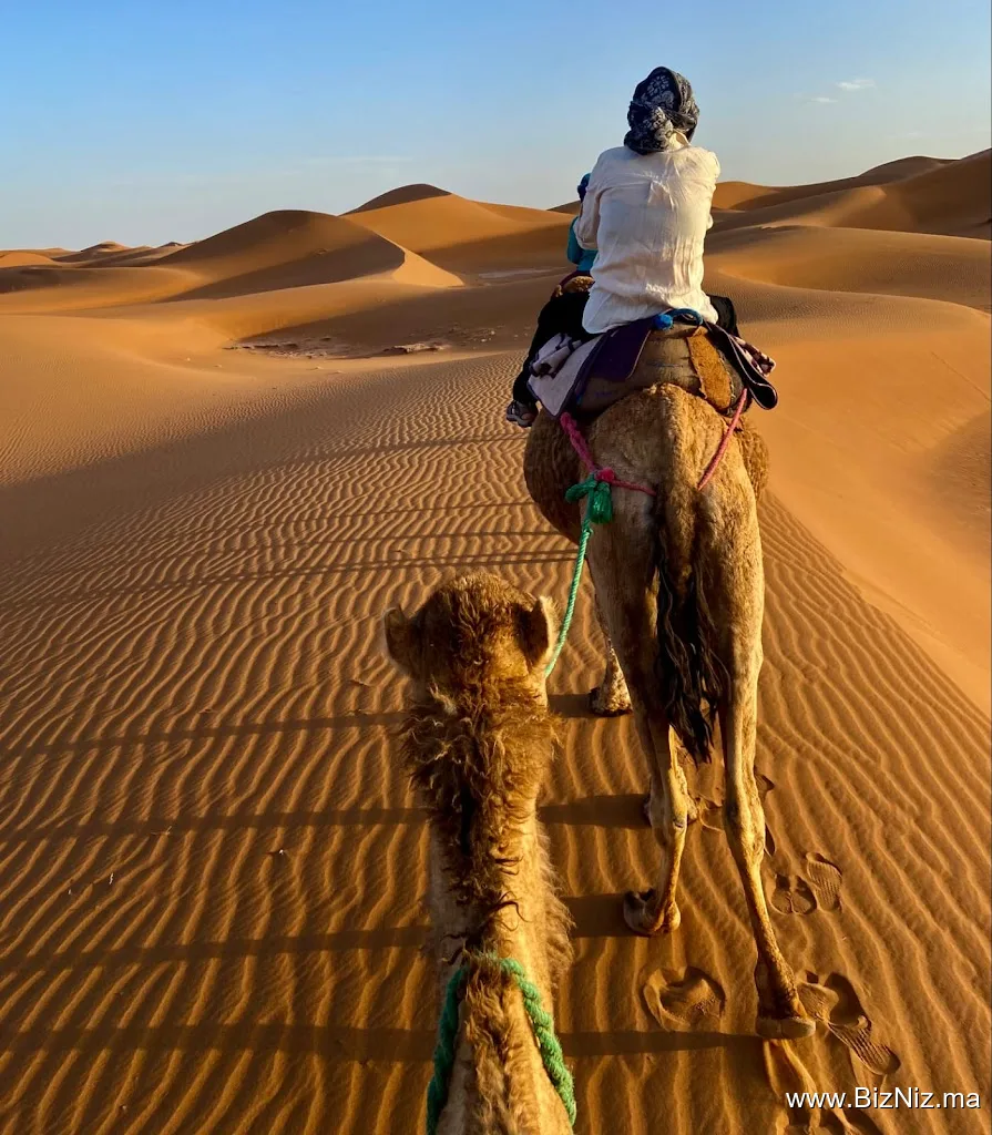 MOROCCAN DESERT CARAVANS