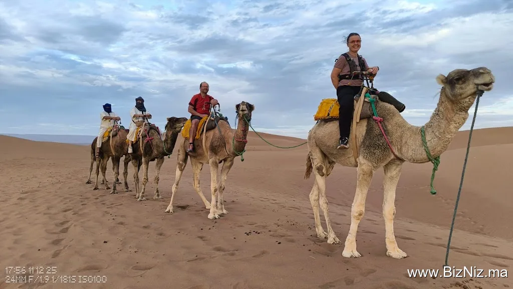 Desert adventure