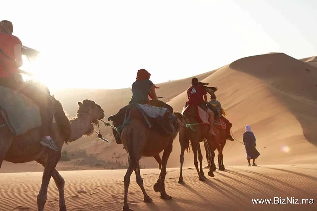 DesertBrise Travel