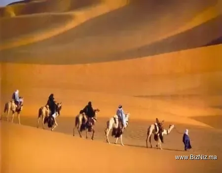 DesertBrise Travel