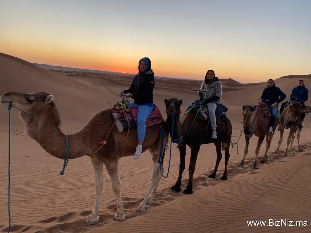 DesertBrise Travel
