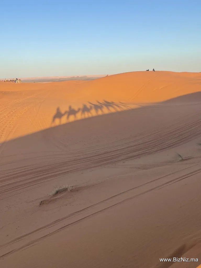 Marrakesh Desert Tours