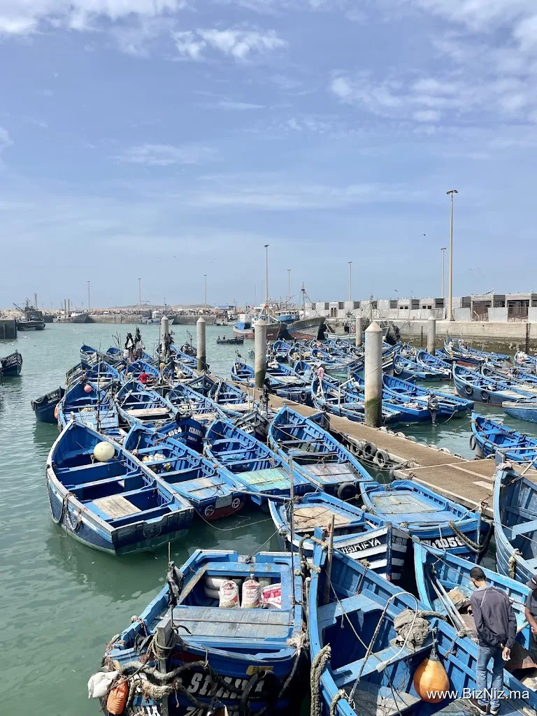 Comfort Travel Morocco Private Tours