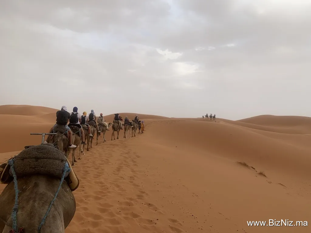 Marrakech Desert Excursions