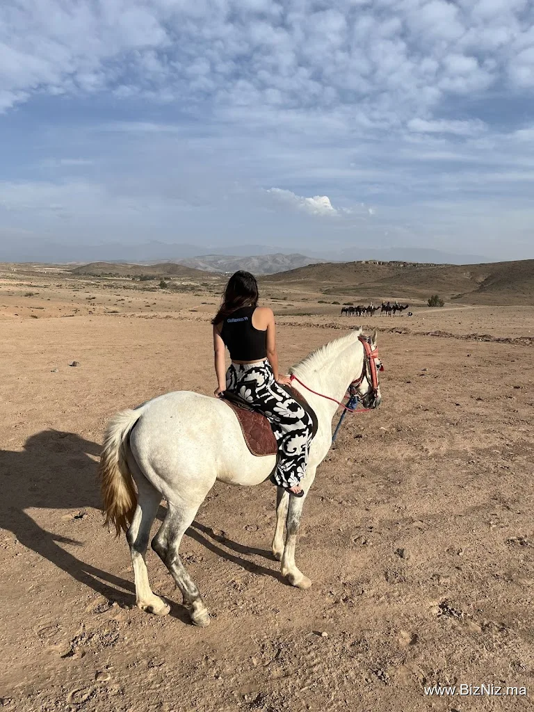 GoRocco | Morocco Experiences, Retreats & Desert Adventures