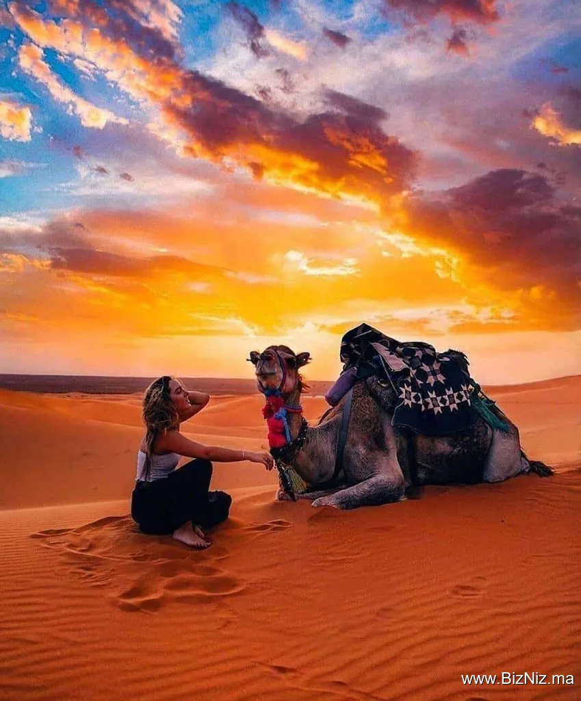 Ahariss Travel - Morocco Tours
