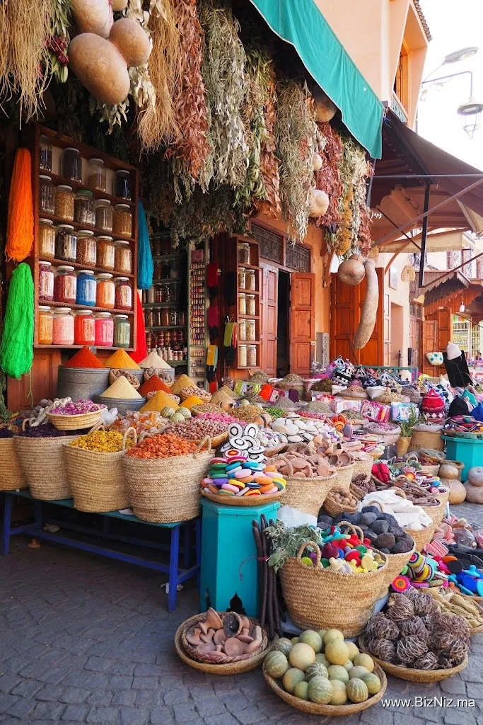 One Life Trips - Authentic Marrakech Tours & Activities