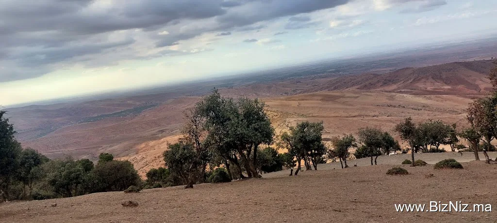 Marrakech Tours