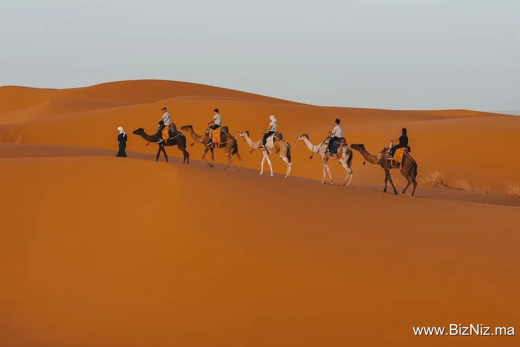 limitless morocco tours