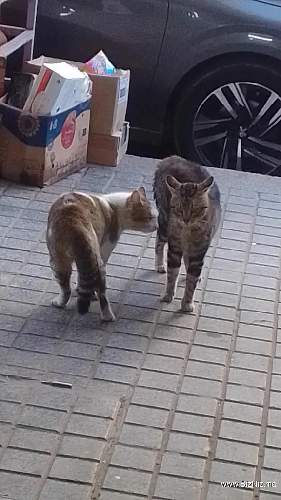 متجر سلوى