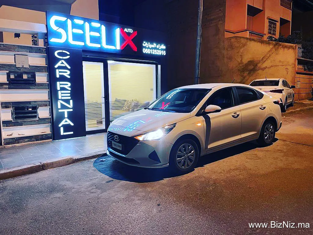 Seelix Car Rental: Location de voitures