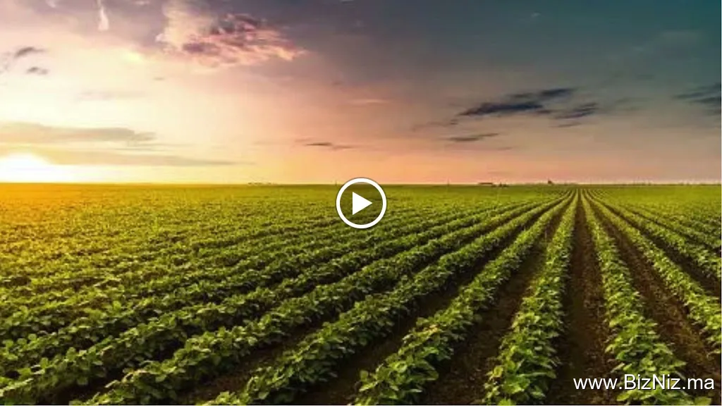 Ennabio Agri sarl : Matériel & Produits Agricoles