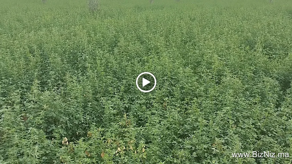 Ennabio Agri sarl : Matériel & Produits Agricoles