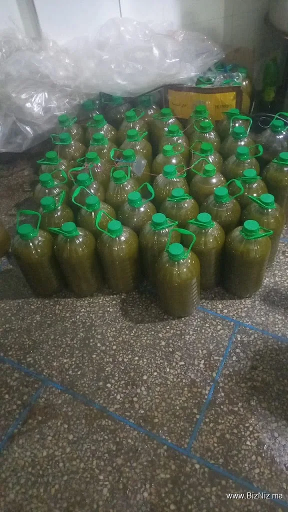 معصرة السراغنة ام الربيع