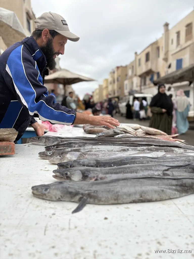 Essaouira Adventure Hub