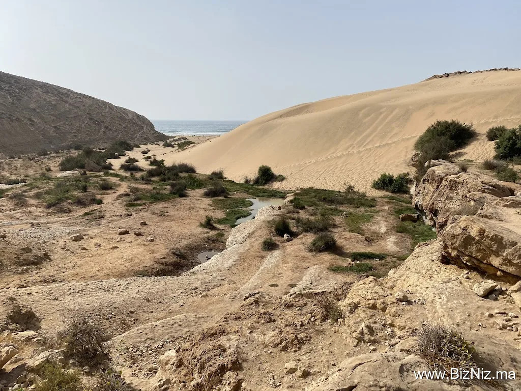 Be In Naturetours Essaouira