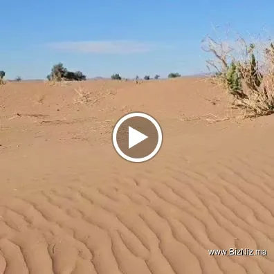 Trek Morocco Tours Desert