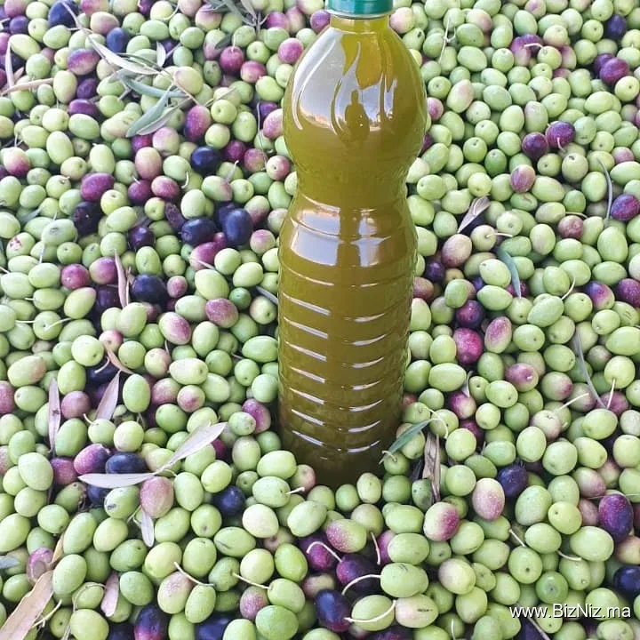 معصرة الخير لزيت الزيتون أبي الجعد