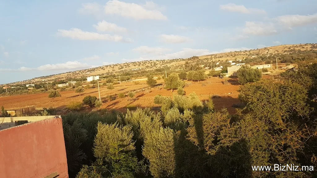 Akrani Mogador Huile Argan