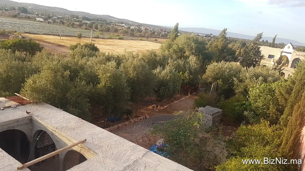 Akrani Mogador Huile Argan