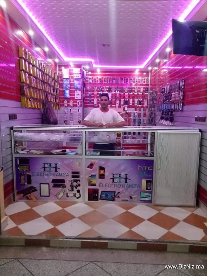 Électro Hamza