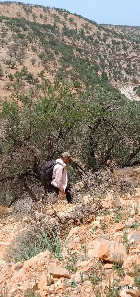 تمنار