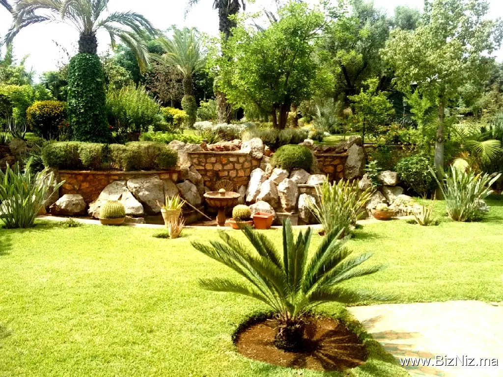 EL MOUDNI-Experts jardinage paysagiste