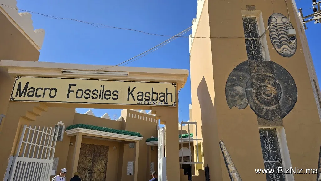 Macro Fossiles Kasbah