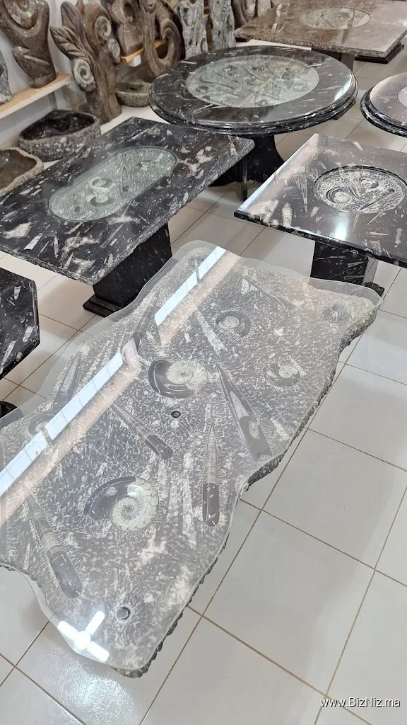 Morabit Marbre Fossils