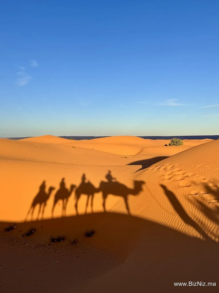 AFRICA AVENTURAS MARRUECOS SARL