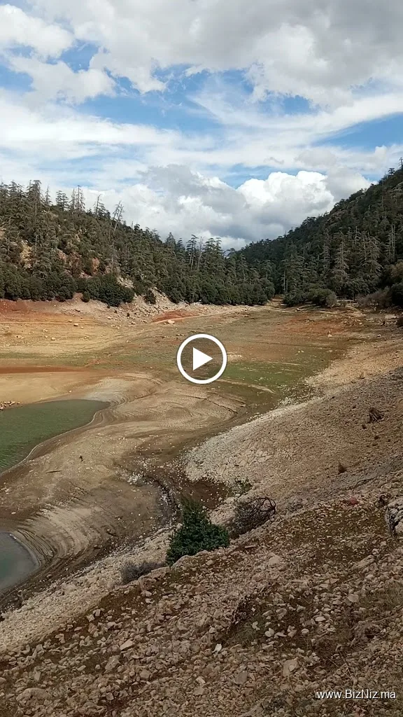 Ifrane National ParK, cedar forest/ Guide, Hiking,Trekking/Randonnées Guidés