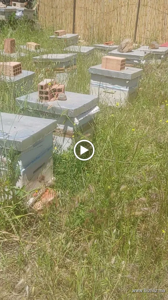 La Cité du Miel & des Abeilles
