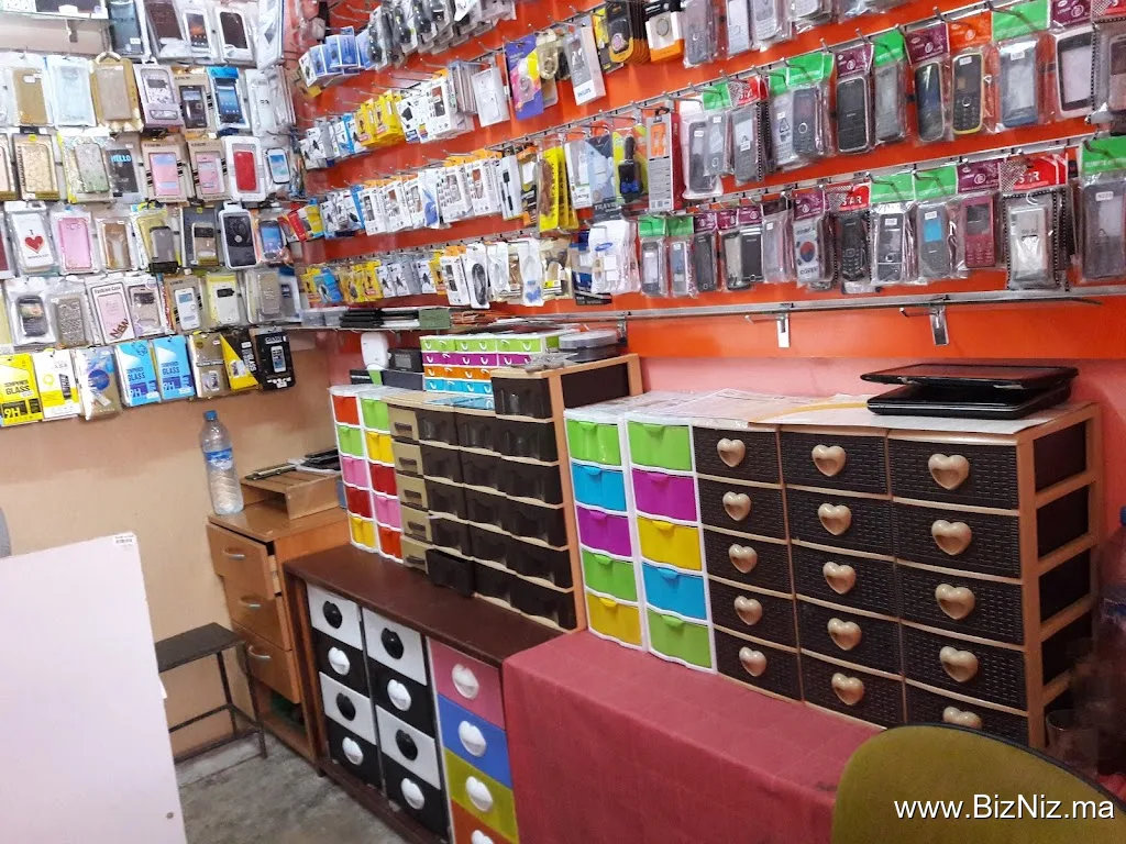 services asanef-GSM