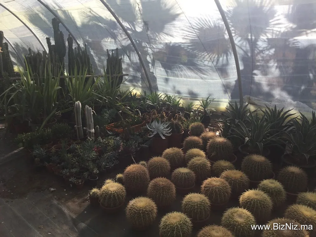 Bio jardin
