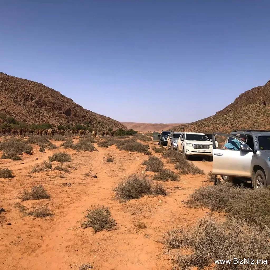 Morocco Safari adventure