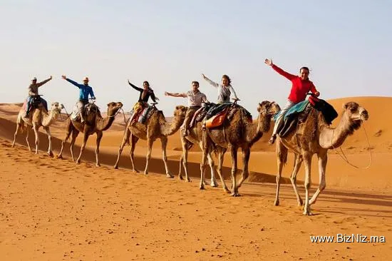 Morocco Safari Tours