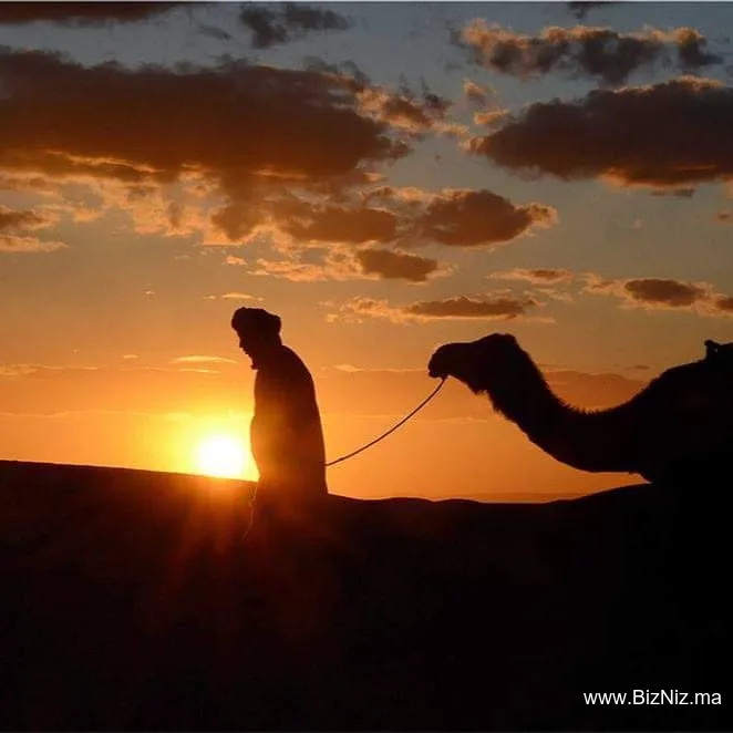 Desert Smell Travel Morocco