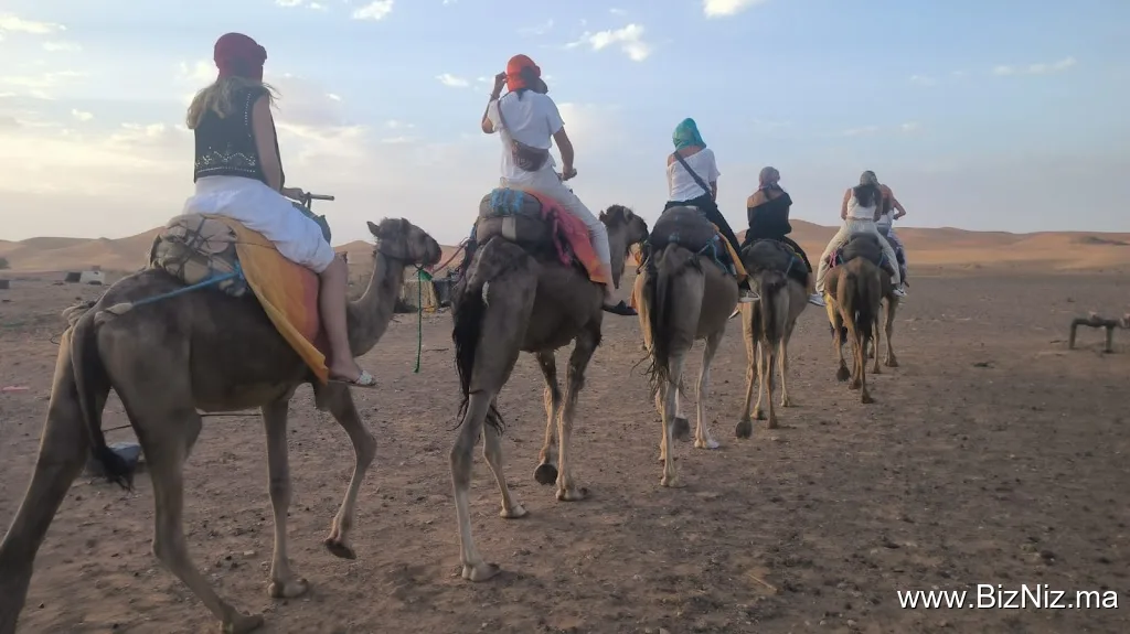Morocco Travel Explorer / Transport touristique errachidia
